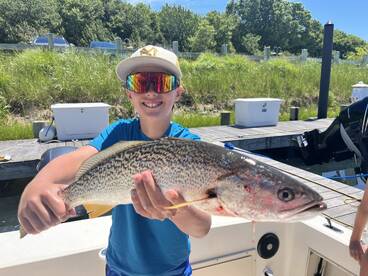 Southold Report Photo 2