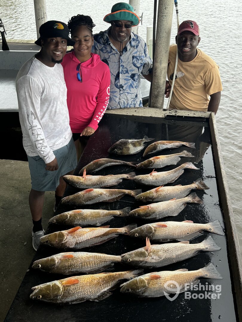 Barataria Report Photo 0
