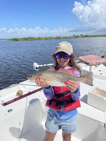 Barataria Report Photo 2