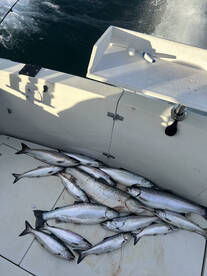 Crazy good fishing!!!!