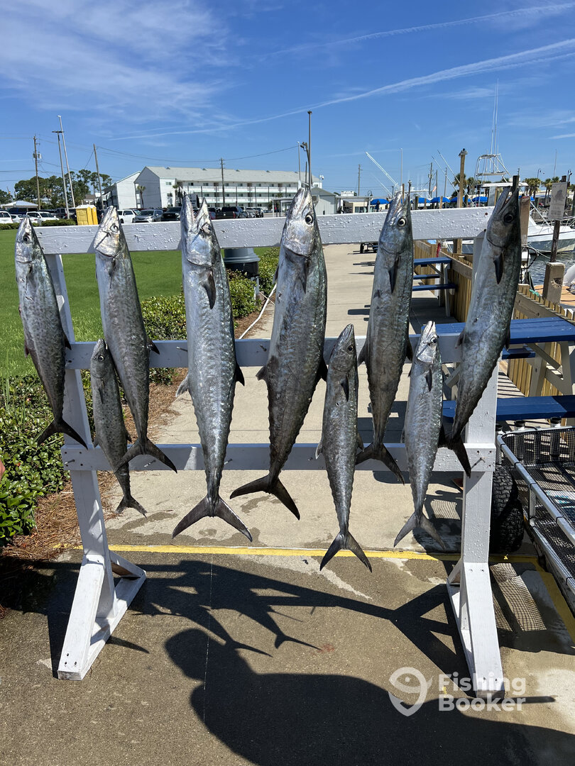 Panama City Beach Report Photo 0