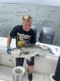 Dennis Report Photo 2