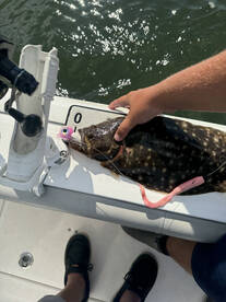 Super Fluke fishing !