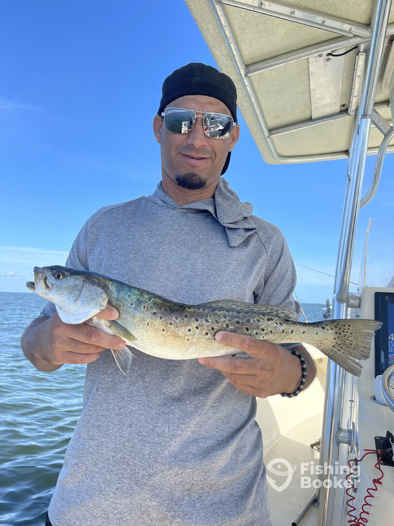 Wanchese Report Photo 0