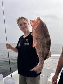 Sarasota Report Photo 1