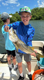 Snook snook snook