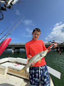 Siesta Key Report Photo 1