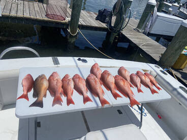 Its Blue’s weekend but we are fishing! 