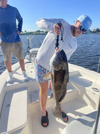 Big black drum