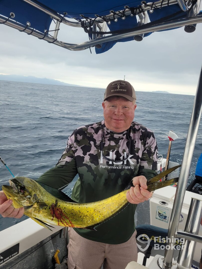 Puerto Vallarta Report Photo 0