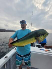 Puerto Vallarta Report Photo 2