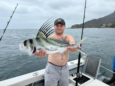 Puerto Vallarta Report Photo 1
