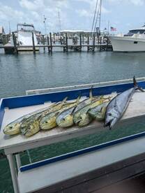 Key West Report Photo 1