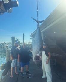 Montauk Report Photo 2