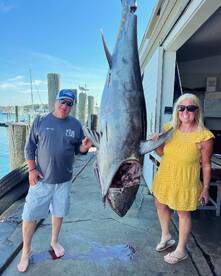 Montauk Report Photo 1