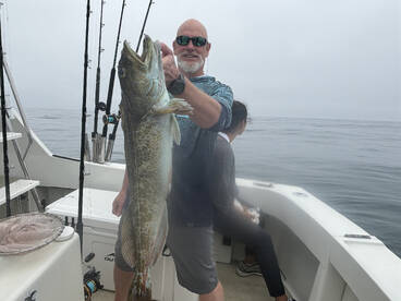 San Diego Report Photo 2