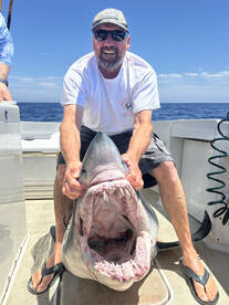 San Diego Report Photo 1