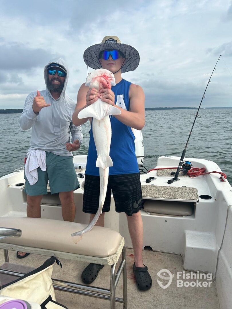 Hilton Head Island Report Photo 0