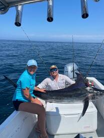 San Jose del Cabo Report Photo 2