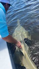 The bite is on fire!