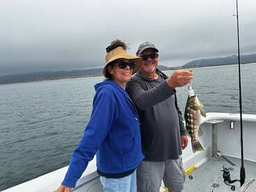 Calico Bass for everyone