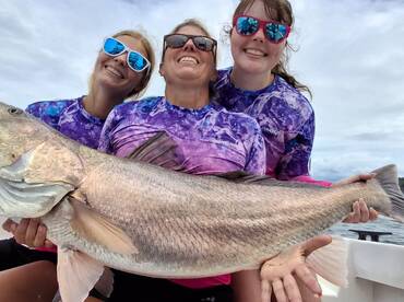 Giant whitefin corvina (seabass)