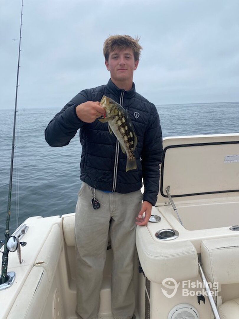 San Diego Report Photo 0