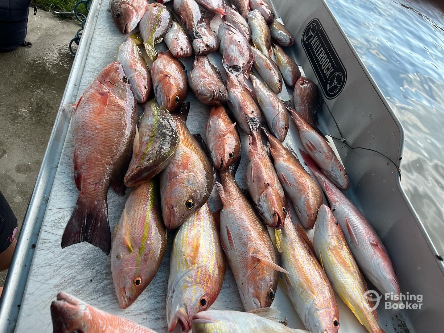 Gulfport Report Photo 0