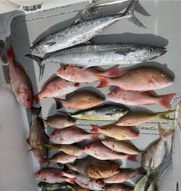 Gulfport Report Photo 2