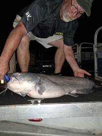 Kingston Report Photo 2