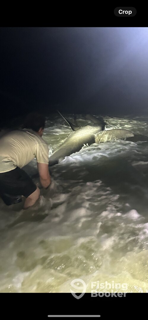 Destin Report Photo 0