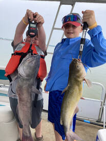 Big cats are waiting for you ..