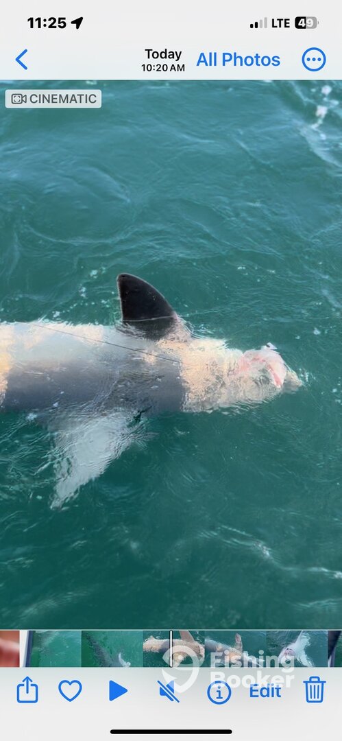 Montauk Report Photo 0