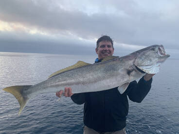 Great Action Continues!!!!