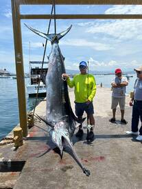 Manzanillo Report Photo 1