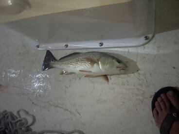 Night fishing