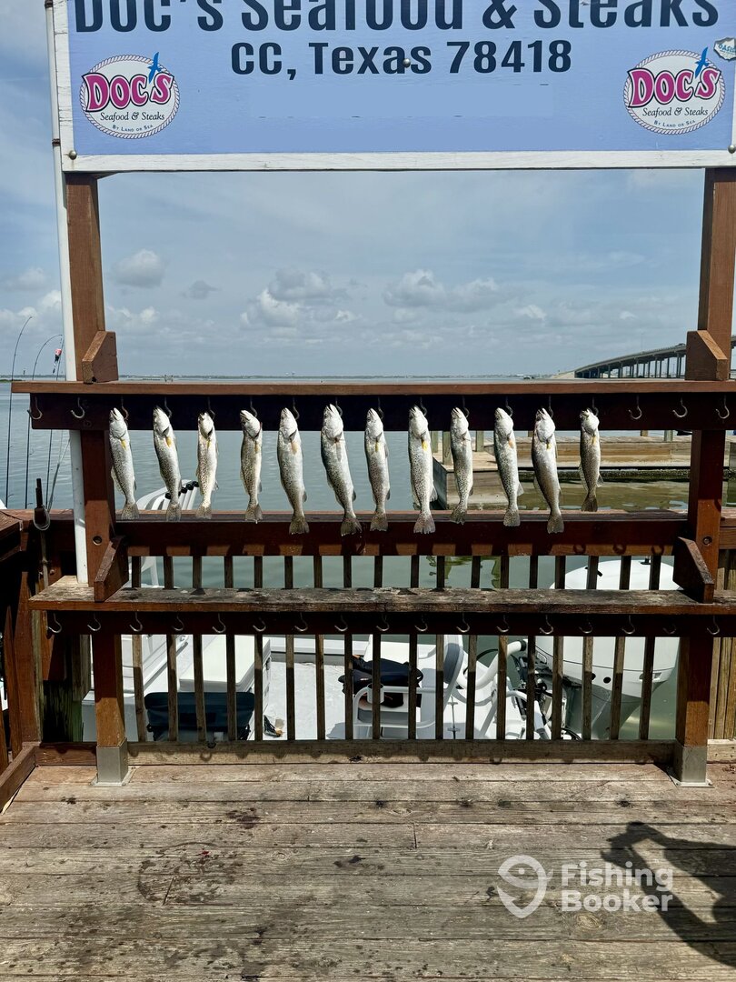 Corpus Christi Report Photo 0