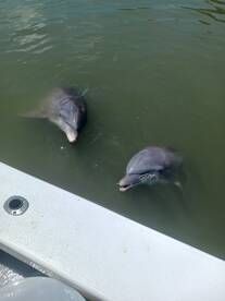 Hilton Head Island Report Photo 2
