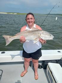 Hilton Head Island Report Photo 1