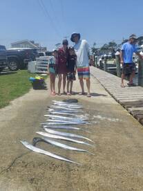 Wanchese Report Photo 1