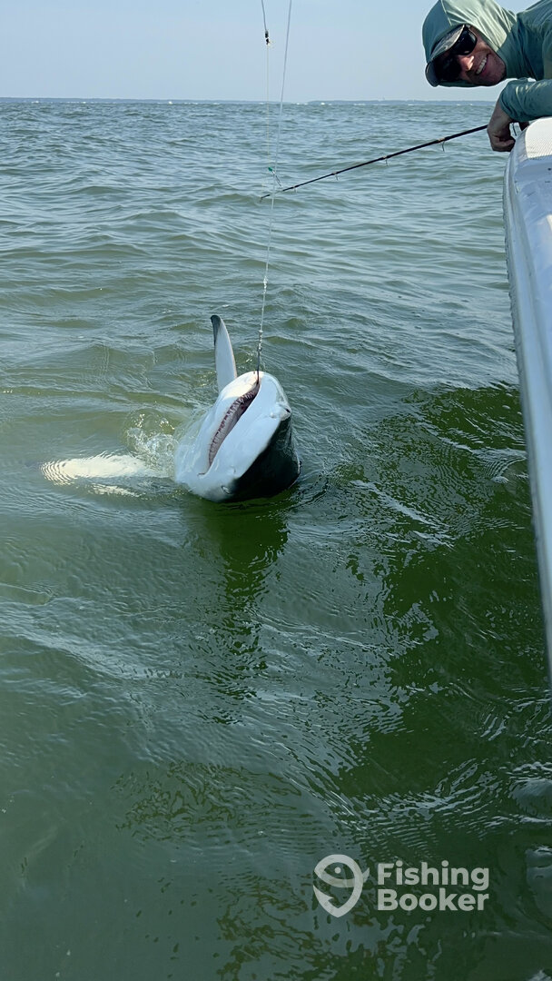 Hilton Head Island Report Photo 0