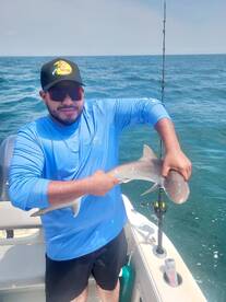Murrells Inlet Report Photo 2