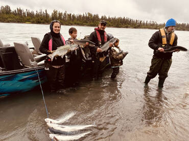 Kenai Report Photo 1