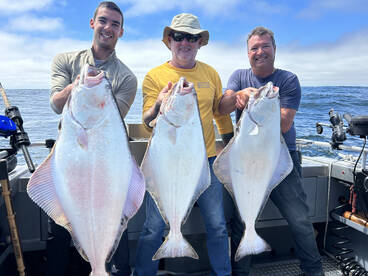 Balfour Report Photo 4