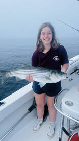 Fish fish fish