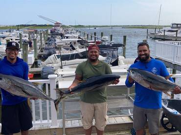 THE TUNA ARE HERE!