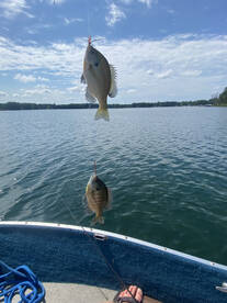 Lawton Report Photo 1