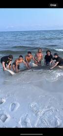 Destin Report Photo 2