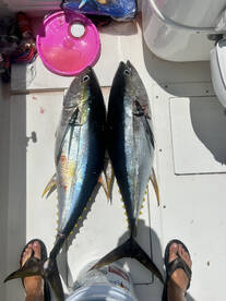 Trophy Tunas !!