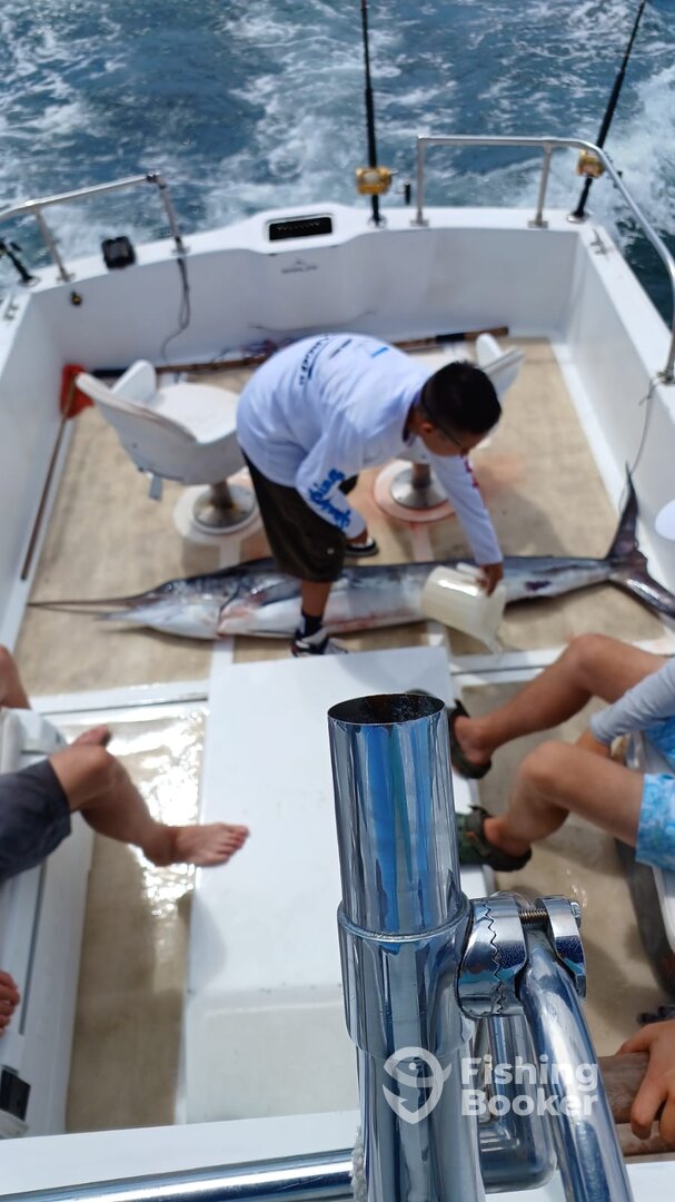 Cabo San Lucas Report Photo 0